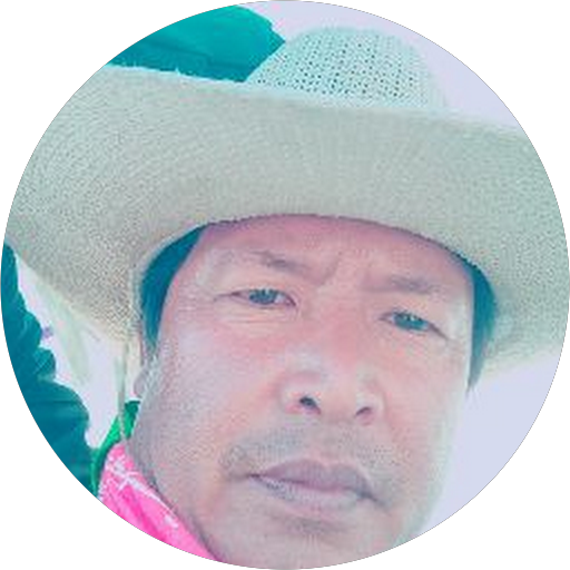 kavekorn chowbanglux