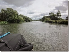 River Thames 2014 026 (640x480)