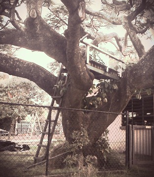 The cubby: Watson-Will IMG_0736
