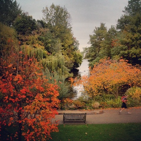 St James Park in Autumn