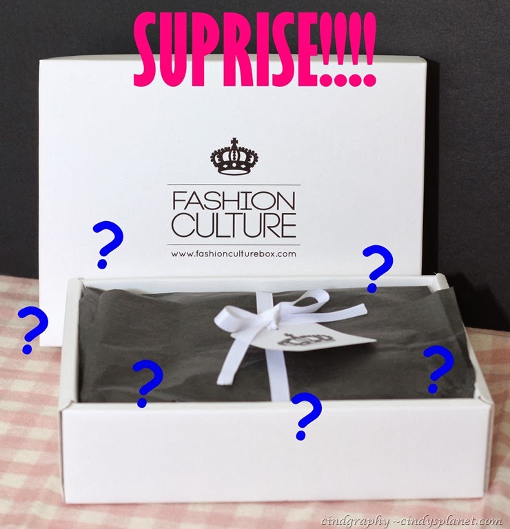 [Fashion%2520Culture%2520Surprise%255B2%255D.jpg.webp]