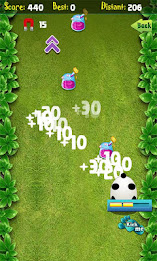 Panda Running poster 4