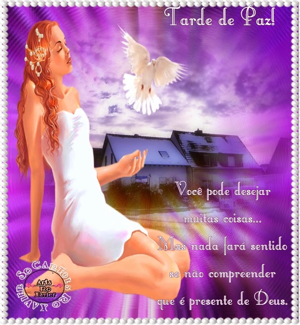 tarde+de+paz1.jpg