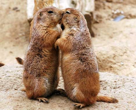 [besos%2520y%2520masajes%2520%25281%2529%255B3%255D.jpg]