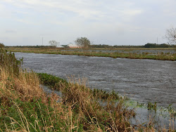 Skjern Au _ Oktober 2012 - 051