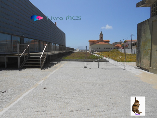 [Bolg%2520Gazeta%2520de%2520Espinho002%2520Livro%2520MCS%255B2%255D.jpg]