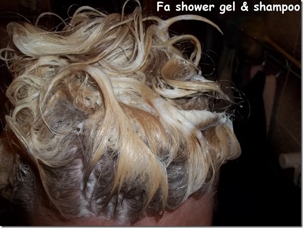 Fa shower gel & shampoo (5)