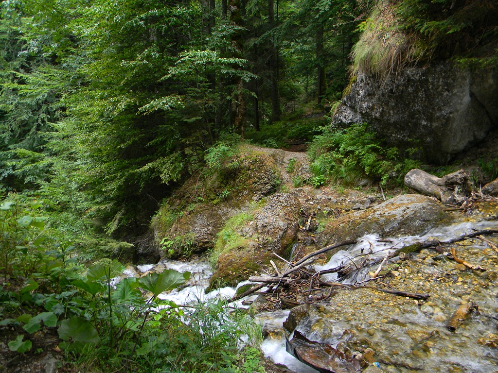 [DSCN41663.jpg]