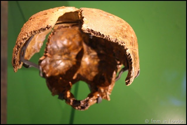 Neanderthal woman, skull