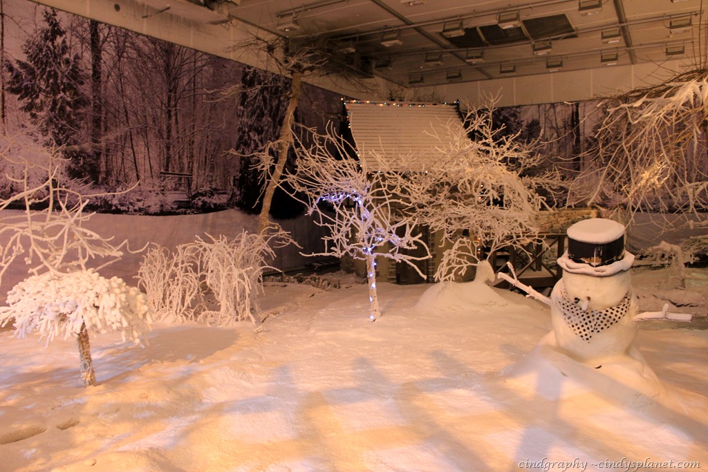 [4-season-house-winter4.jpg.webp]