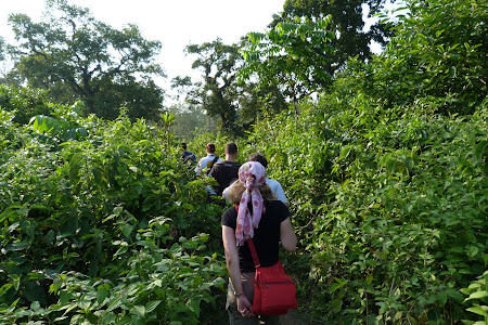 Safari pe jos in jungla