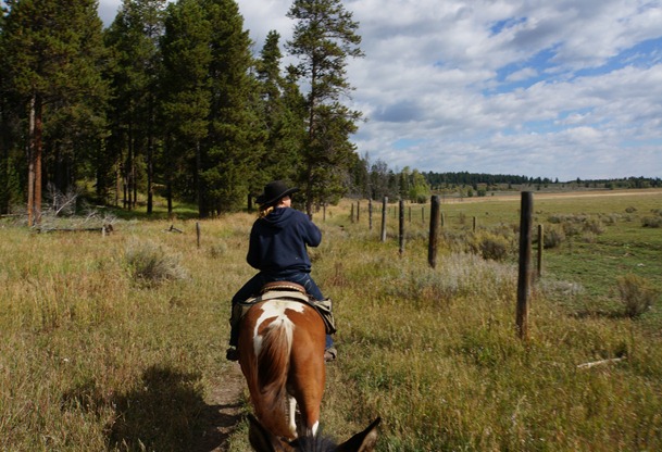 Horseback riding in Jackson Hole