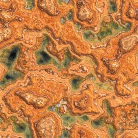 Seamless backgrounds of mosses9