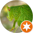 Image Google de Don Fi