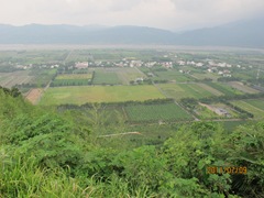 110709 138-台東鹿野