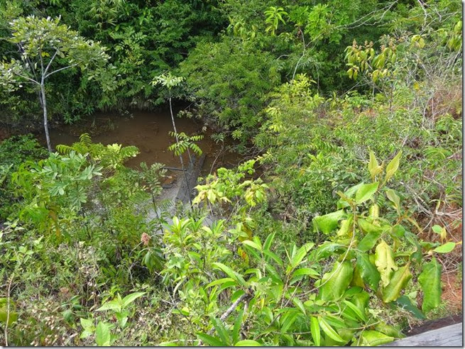 BR-319_Humaita_Manaus_Day_3_DSC05530