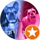 Image Google de Anne-Charlotte Harry