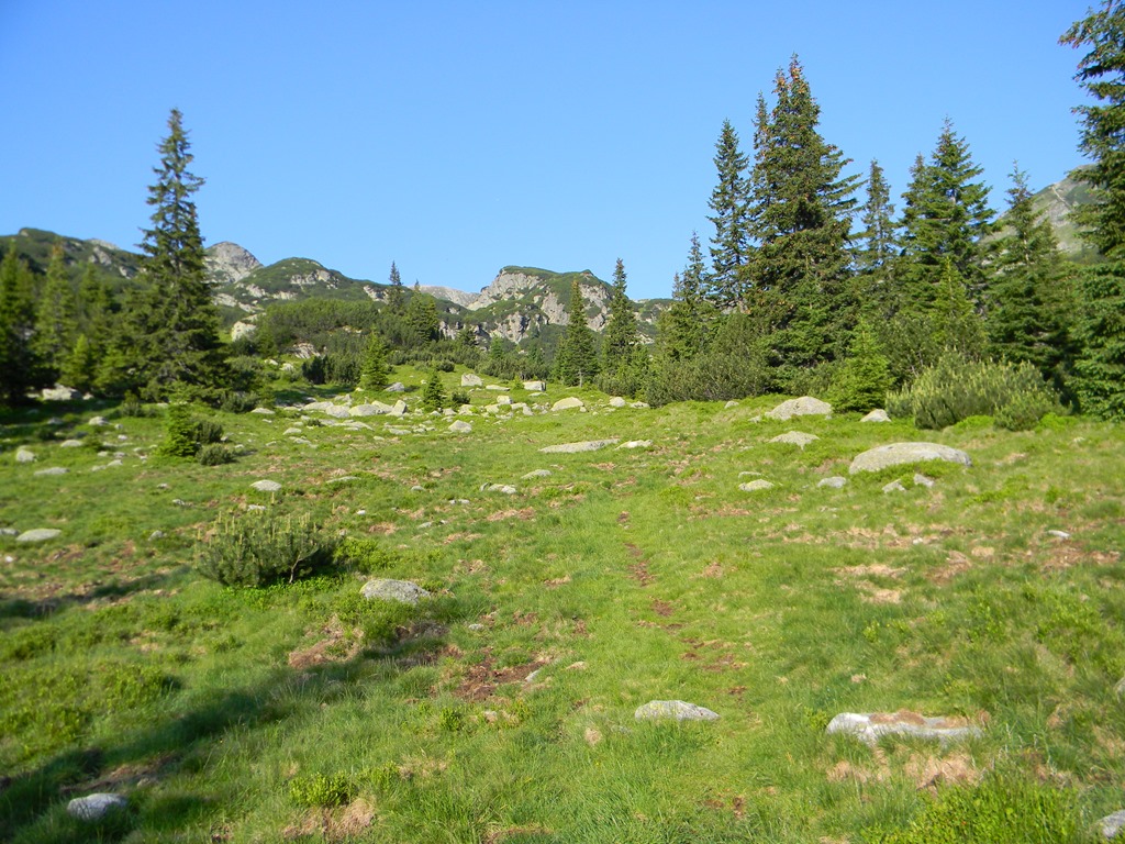 [DSCN22483.jpg]