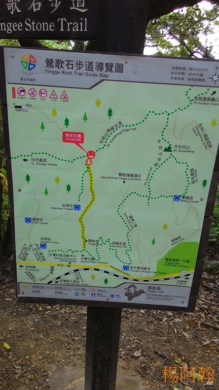 [1106-106---5.jpg]
