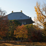 東大寺・紅葉(PK3_0372,Top)2014yaotomi_.jpg