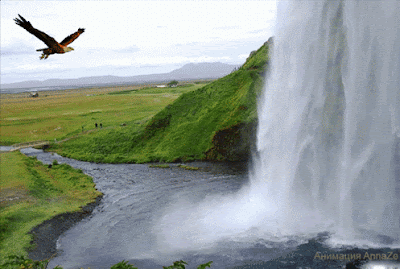 0_76e66_7187a3ca_XL_zps6501d2ba.gif