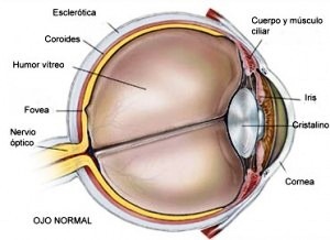 ¿Como curar el Glaucoma?