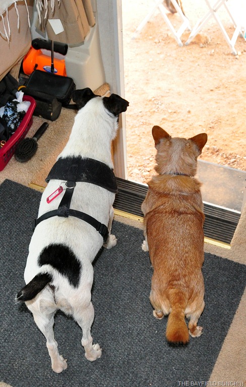 [DSC_0075%255B5%255D.jpg]