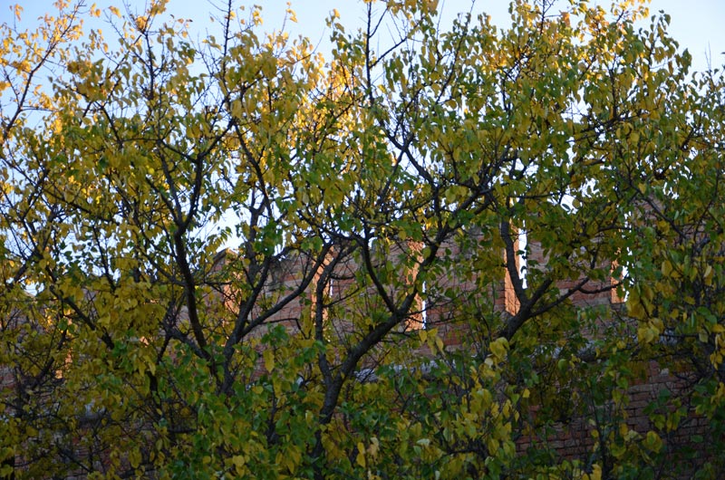 Arsenale_16.jpg Arsenale 16