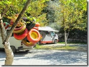 IMG_7983 IMG_7983