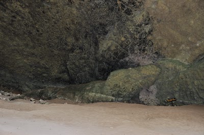 DSC_0636.JPG