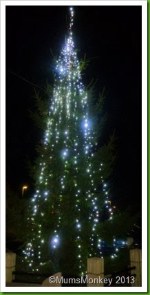 Bilbrook Christmas Tree
