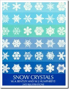 snowflake snow crystals