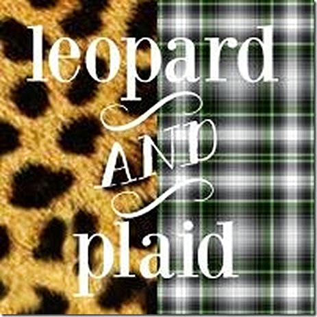 leopard and plaid 3