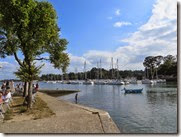 IMG_1988 IMG_1988