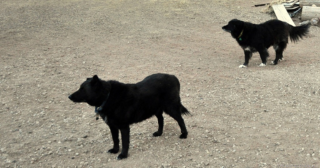 [DSC_0036%255B9%255D.jpg]