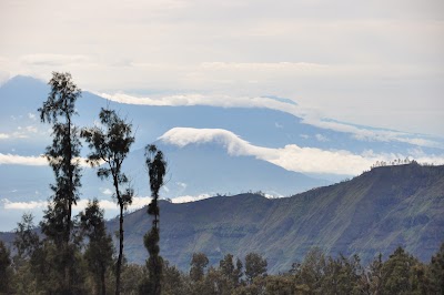 DSC_0669.jpg