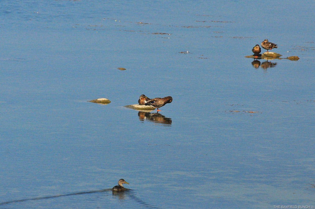 [DSC_0002%255B4%255D.jpg]