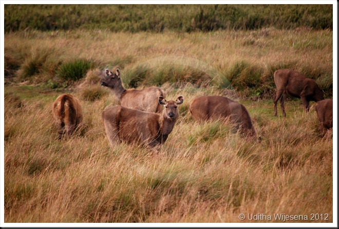 DSC_0084 DSC_0084