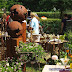 Gartentage Bellheim 2011 - Samstag Teil 2 - © info@pfalzmeister.de - www.pfalzmeister.de