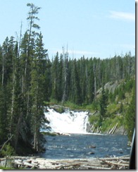 IMG_7132 IMG_7132