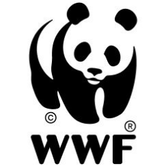 World Wildlife Fund Giant Panda