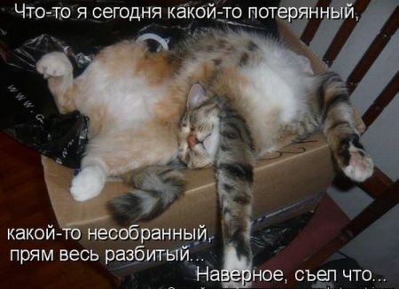 [1288116197_kotomatrix_33%255B4%255D.jpg]