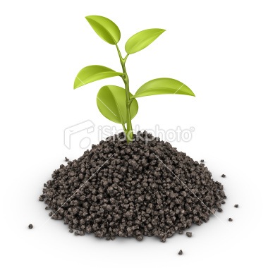 [istockphoto_10738938-plant-in-dirt-heap%255B3%255D.jpg]