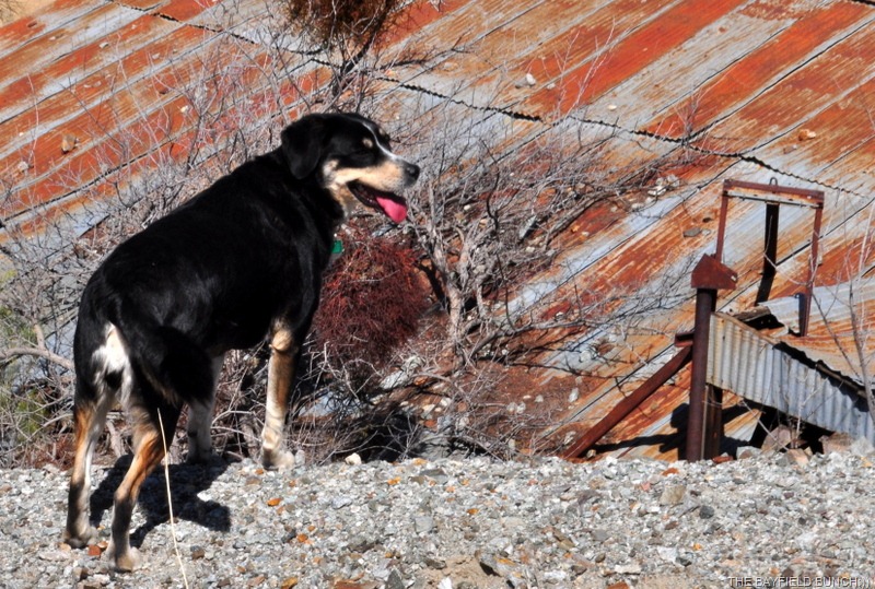 [DSC_0174%255B6%255D.jpg]