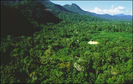 Floresta ao Sul da Venezuela