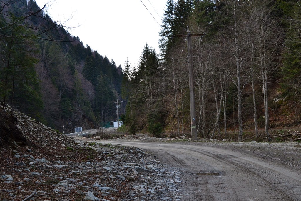 [DSC_70343.jpg]