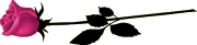 flor%252056.png