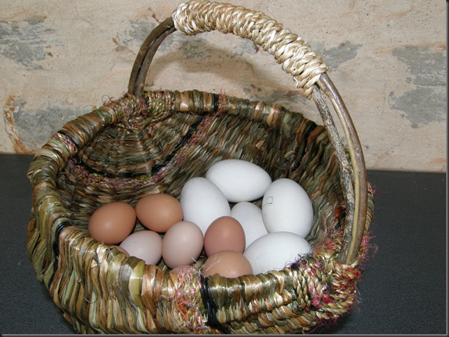 telur ayam dan angsa di musim semi 