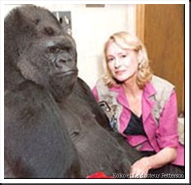 Koko et Francine Patterson