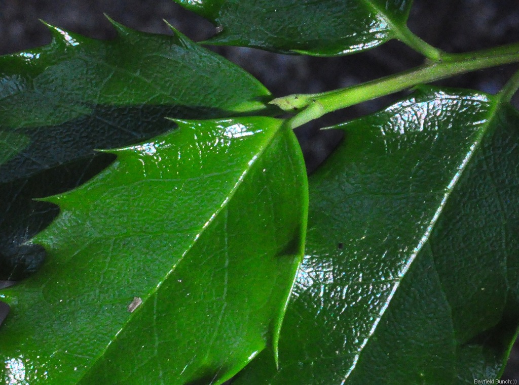 [DSC_0021%255B3%255D.jpg]